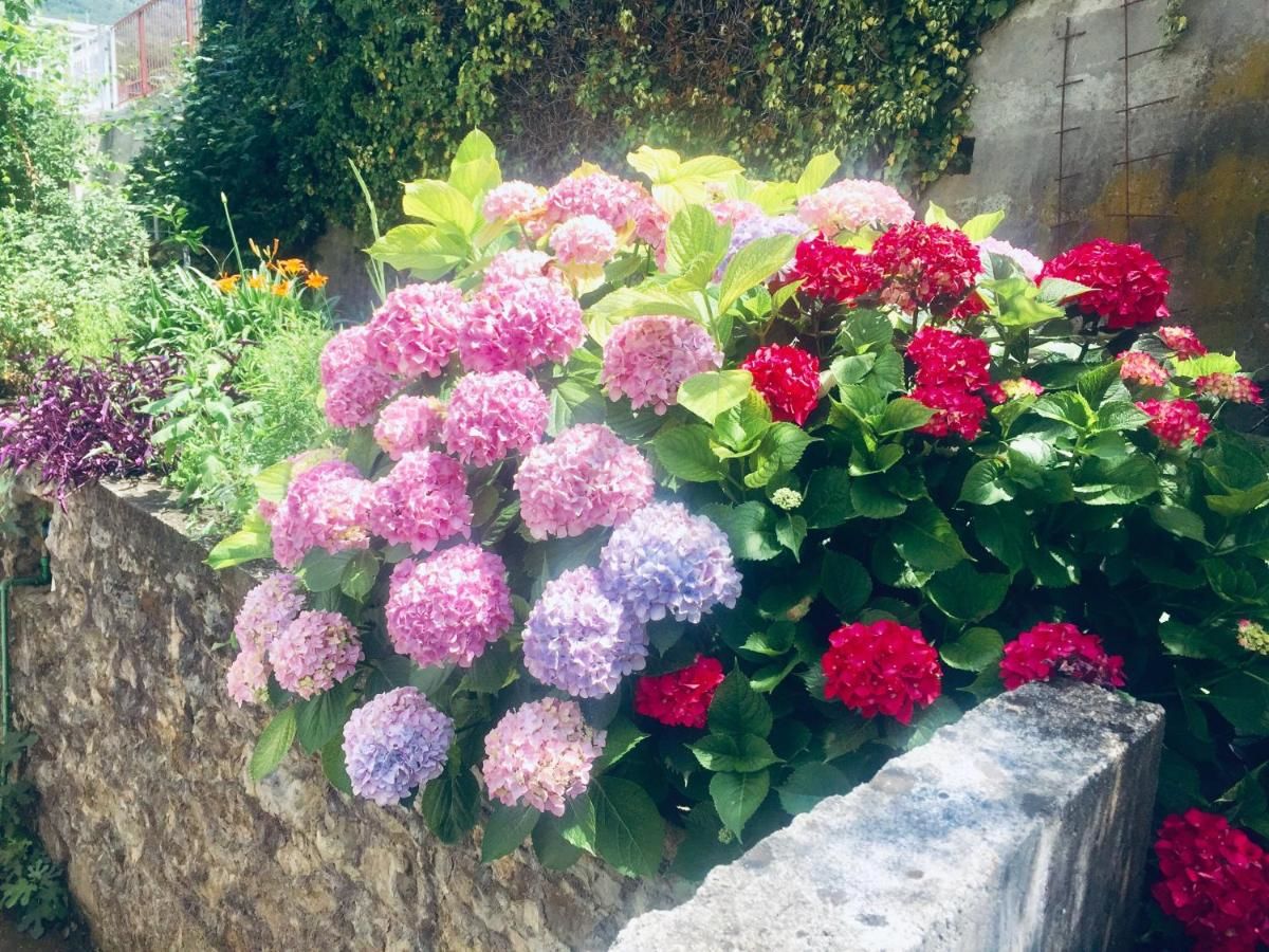 Апартаменты Apartmani Lovor Херцег-Нови