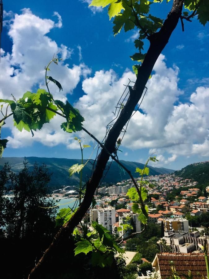 Апартаменты Apartmani Lovor Херцег-Нови-28