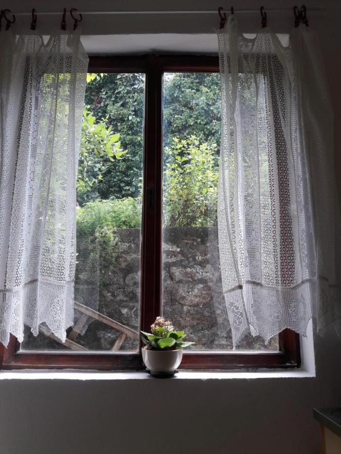 Апартаменты Apartmani Lovor Херцег-Нови