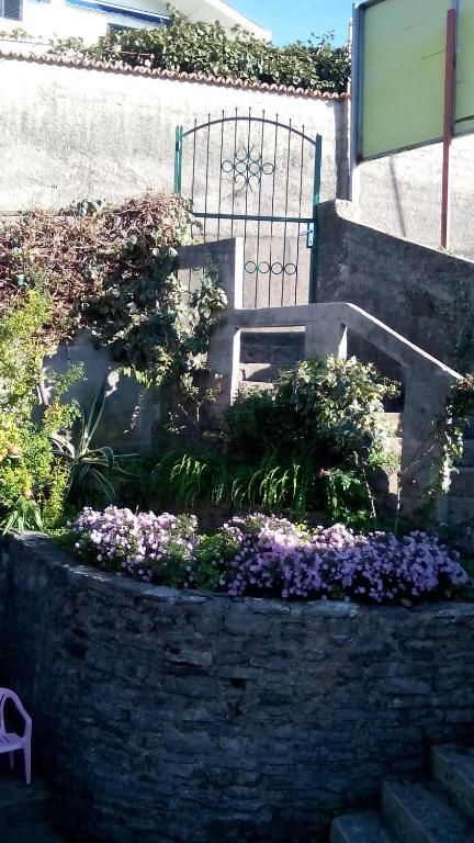 Апартаменты Apartmani Lovor Херцег-Нови