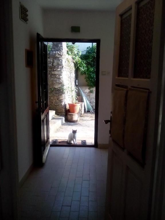 Апартаменты Apartmani Lovor Херцег-Нови