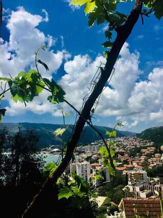 Апартаменты Apartmani Lovor Херцег-Нови Апартаменты с террасой-8