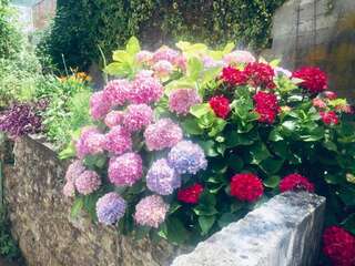 Апартаменты Apartmani Lovor Херцег-Нови Апартаменты-студио-23