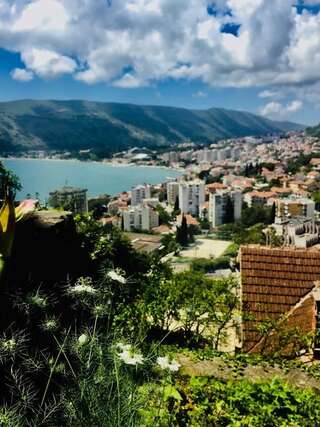 Апартаменты Apartmani Lovor Херцег-Нови Апартаменты-студио-24