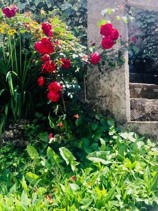 Апартаменты Apartmani Lovor Херцег-Нови Апартаменты-студио-29