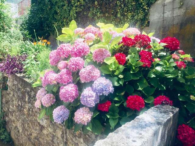 Апартаменты Apartmani Lovor Херцег-Нови-21